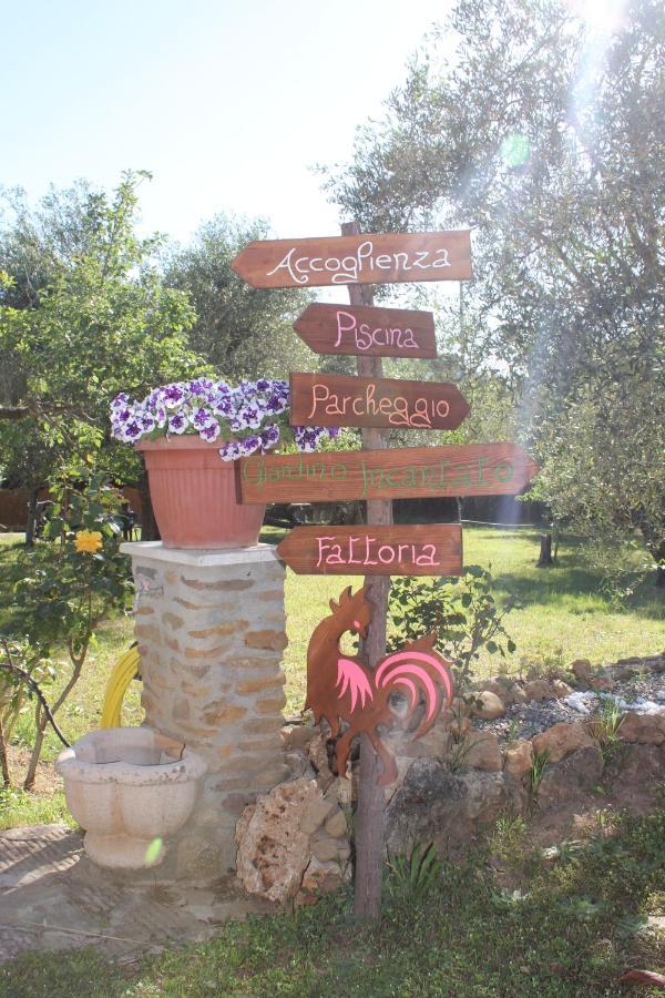 Agriturismo Buen Camino Scarlino Buitenkant foto